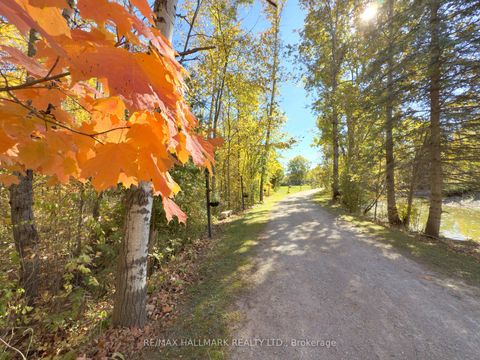 Photo 21 at 1114 Goshen Road, Alcona, Innisfil