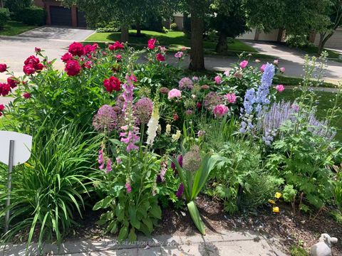 Photo 46 at 11 Elkpath Avenue, Windfields, Toronto