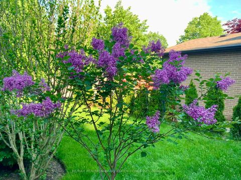 Photo 47 at 11 Elkpath Avenue, Windfields, Toronto