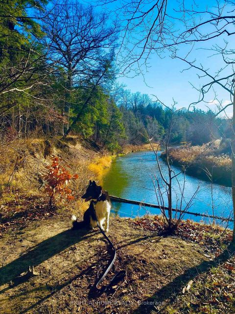 Photo 39 at 488 Royalpark Way, Elder Mills, Vaughan