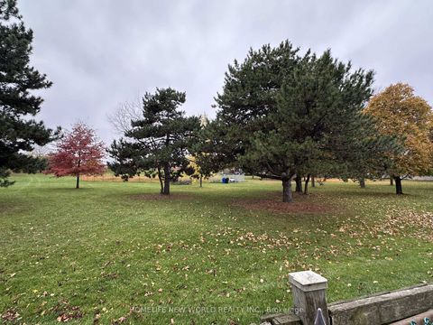 Photo 22 at 264 Pitfield Road, Malvern West, Toronto