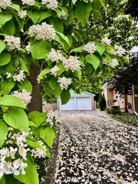 Photo 35 at 12 Canham Crescent, Malvern West, Toronto