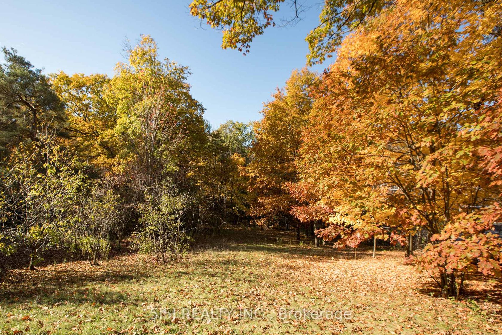 14190 Yonge Street, Aurora Estates, Aurora 