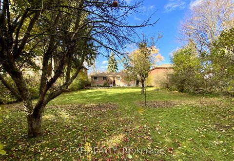 Photo 23 at 69 Edgar Avenue, South Richvale, Richmond Hill