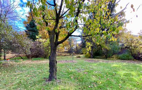 Photo 24 at 69 Edgar Avenue, South Richvale, Richmond Hill