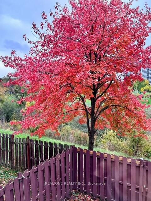 Photo 29 at 46 - 81 Brookmill Boulevard, L'Amoreaux, Toronto