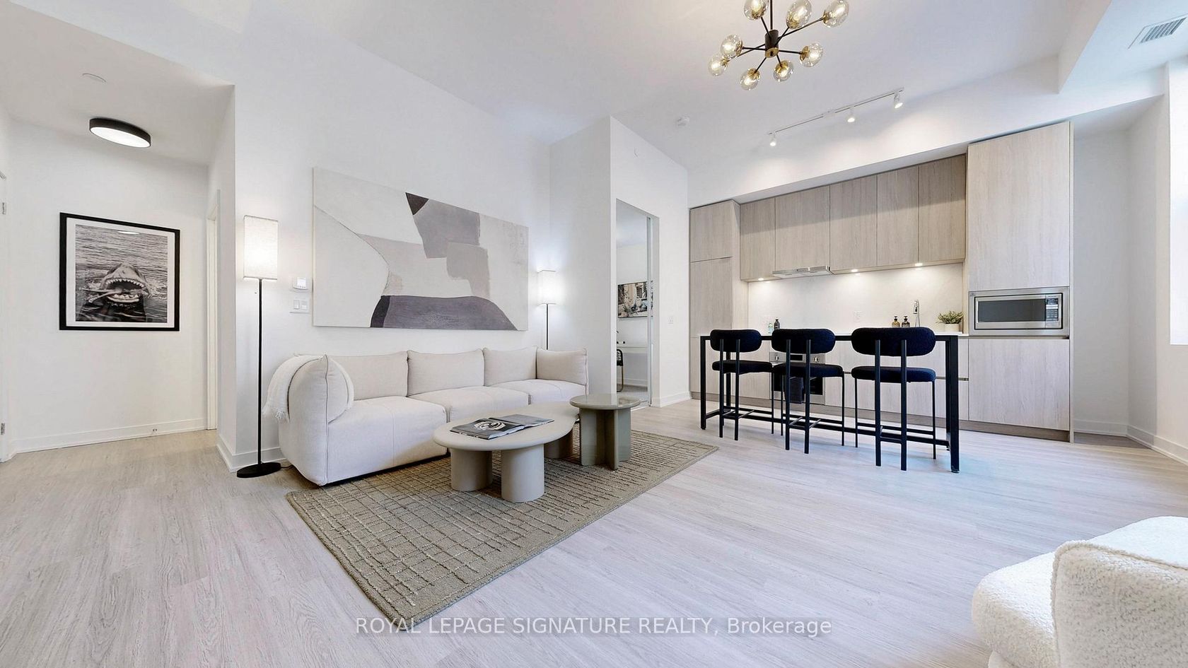 81 Shuter Street, Moss Park, Toronto 