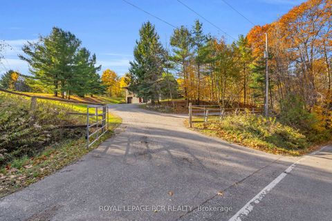 Photo 3 at 300 Old Bathurst Street, Rural King, King