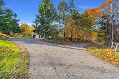 Photo 26 at 300 Old Bathurst Street, Rural King, King