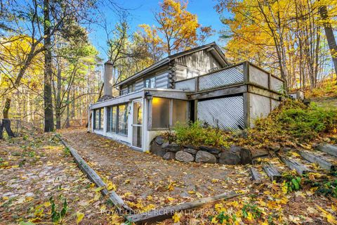 Photo 28 at 300 Old Bathurst Street, Rural King, King