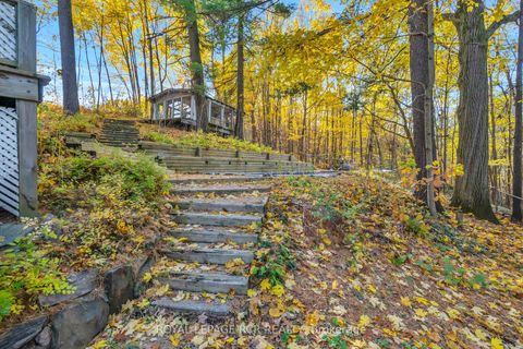 Photo 35 at 300 Old Bathurst Street, Rural King, King