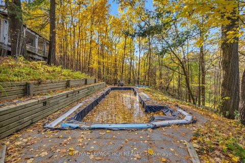 Photo 37 at 300 Old Bathurst Street, Rural King, King