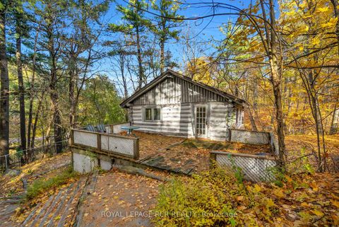 Photo 39 at 300 Old Bathurst Street, Rural King, King