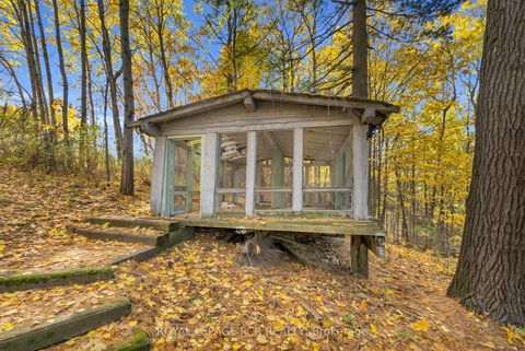 Photo 40 at 300 Old Bathurst Street, Rural King, King