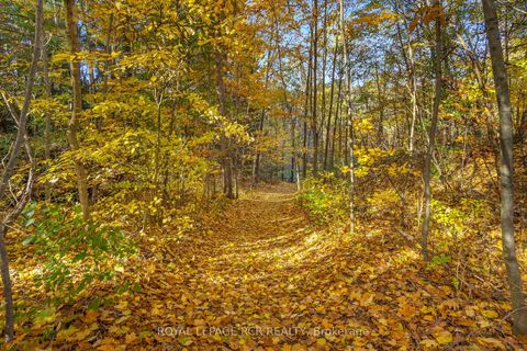 Photo 41 at 300 Old Bathurst Street, Rural King, King