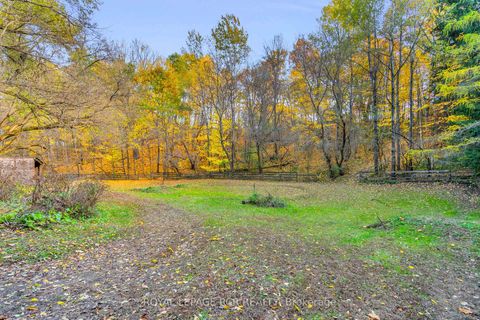 Photo 44 at 300 Old Bathurst Street, Rural King, King