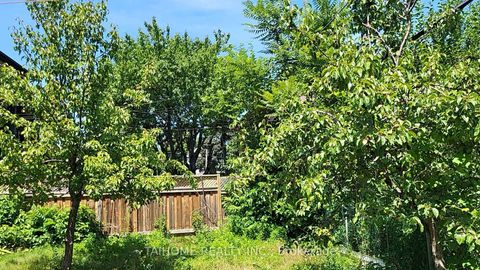 Photo 9 at 639 Royal York Road, Queensway, Toronto