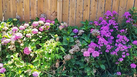 Photo 11 at 639 Royal York Road, Queensway, Toronto