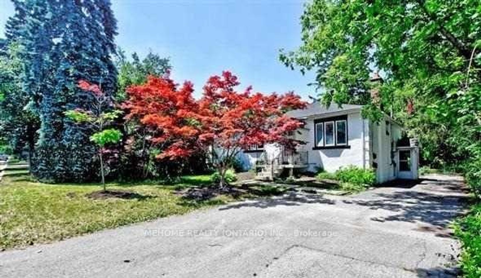 95 Roseview Avenue, Crosby, Richmond Hill 