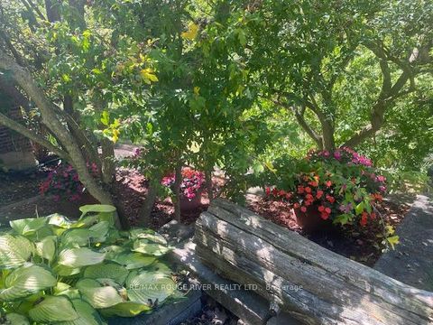 Photo 49 at 50 Dunstall Crescent, West Hill, Toronto