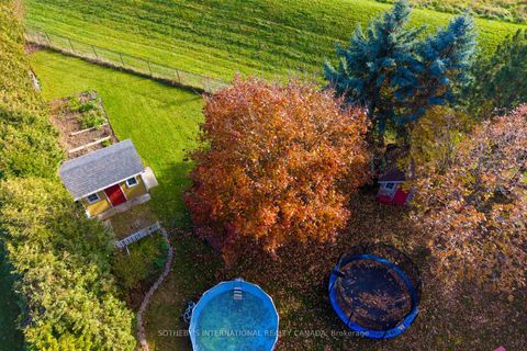 Photo 44 at 184 Veneto Drive, Vaughan Grove, Vaughan