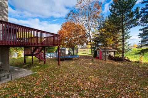 Photo 47 at 184 Veneto Drive, Vaughan Grove, Vaughan