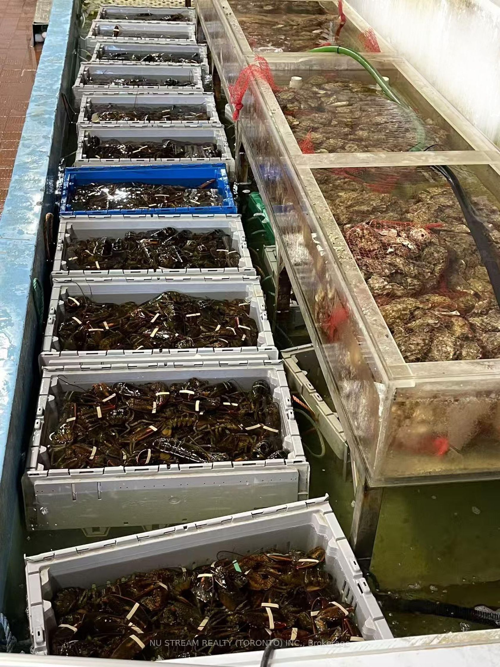 D20 - 63 Silver Star Boulevard, Milliken, Toronto photo number 2