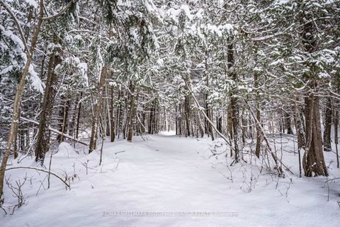 Photo 25 at 8275 County Road 9, Rural Clearview, Clearview