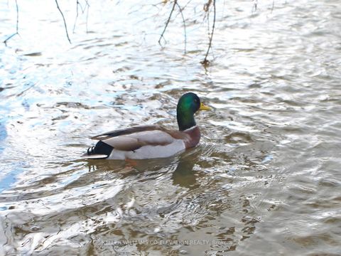 Photo 39 at 709 - 240 Scarlett Road, Smythe, Toronto