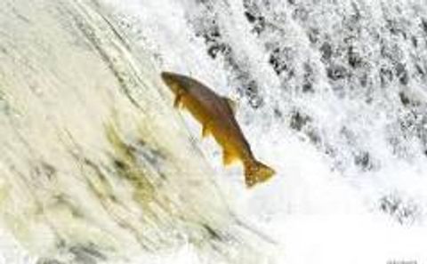 Photo 29 at 604 - 20 Brin Drive, Humber Valley, Toronto