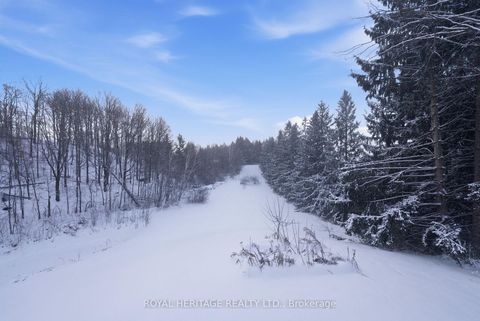 Photo 33 at 1385 Raglan Road E, Rural Oshawa, Oshawa