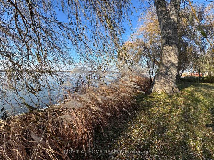 Photo 29 at 28 Birch Island Road, Rural Scugog, Scugog