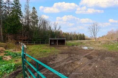 Photo 35 at 2726 9th Line, Rural Innisfil, Innisfil