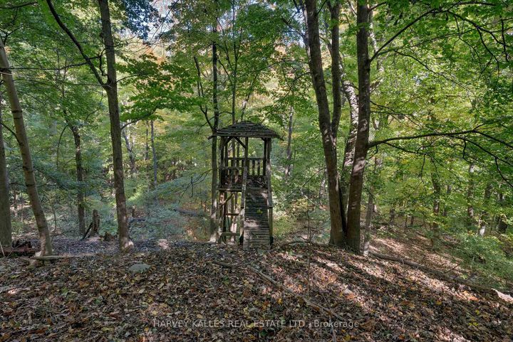 Photo 17 at 7 Beaumont Road, Moore Park, Toronto