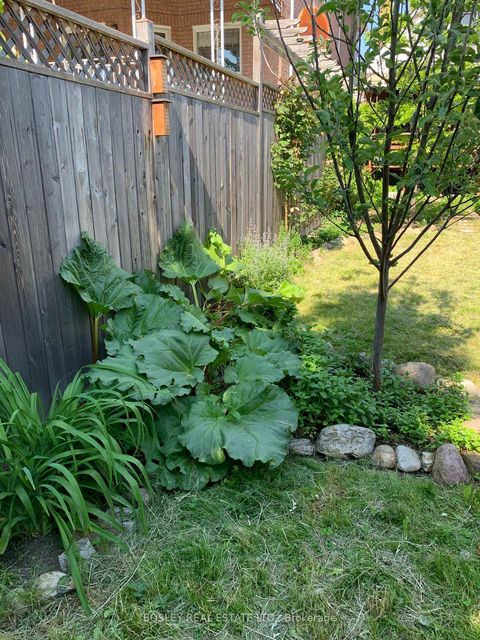 Photo 47 at 224 Rosethorn Avenue, Eglinton West, Toronto