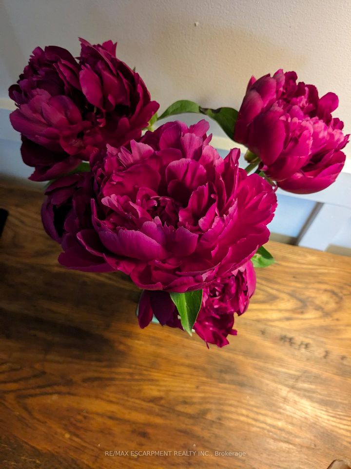 Photo 37 at 136 Glenariff Drive, Rural Flamborough, Hamilton