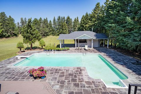 Photo 12 at 14 Alm Court, Aurora Estates, Aurora