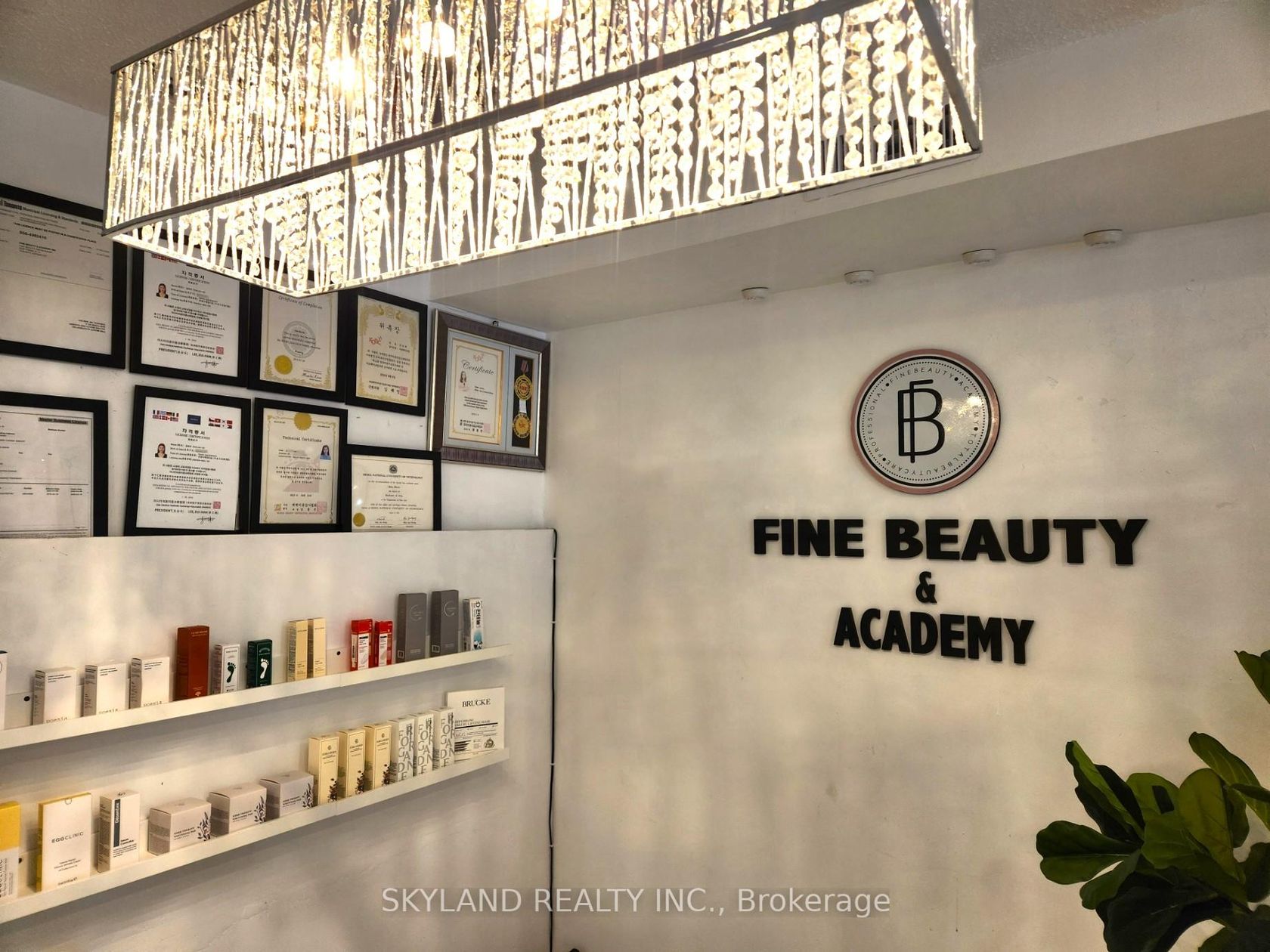 6006A Yonge Street, Newtonbrook West, Toronto photo number 2