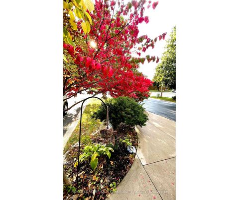 Photo 2 at 31 Giotto Crescent SW, Maple, Vaughan