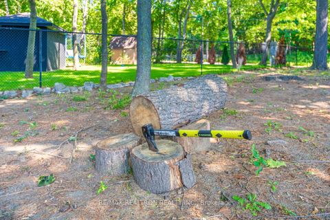 Photo 49 at 1206 Halsey Lane, Liverpool, Pickering