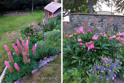 Photo 46 at 5675 Main Street, Orono, Clarington