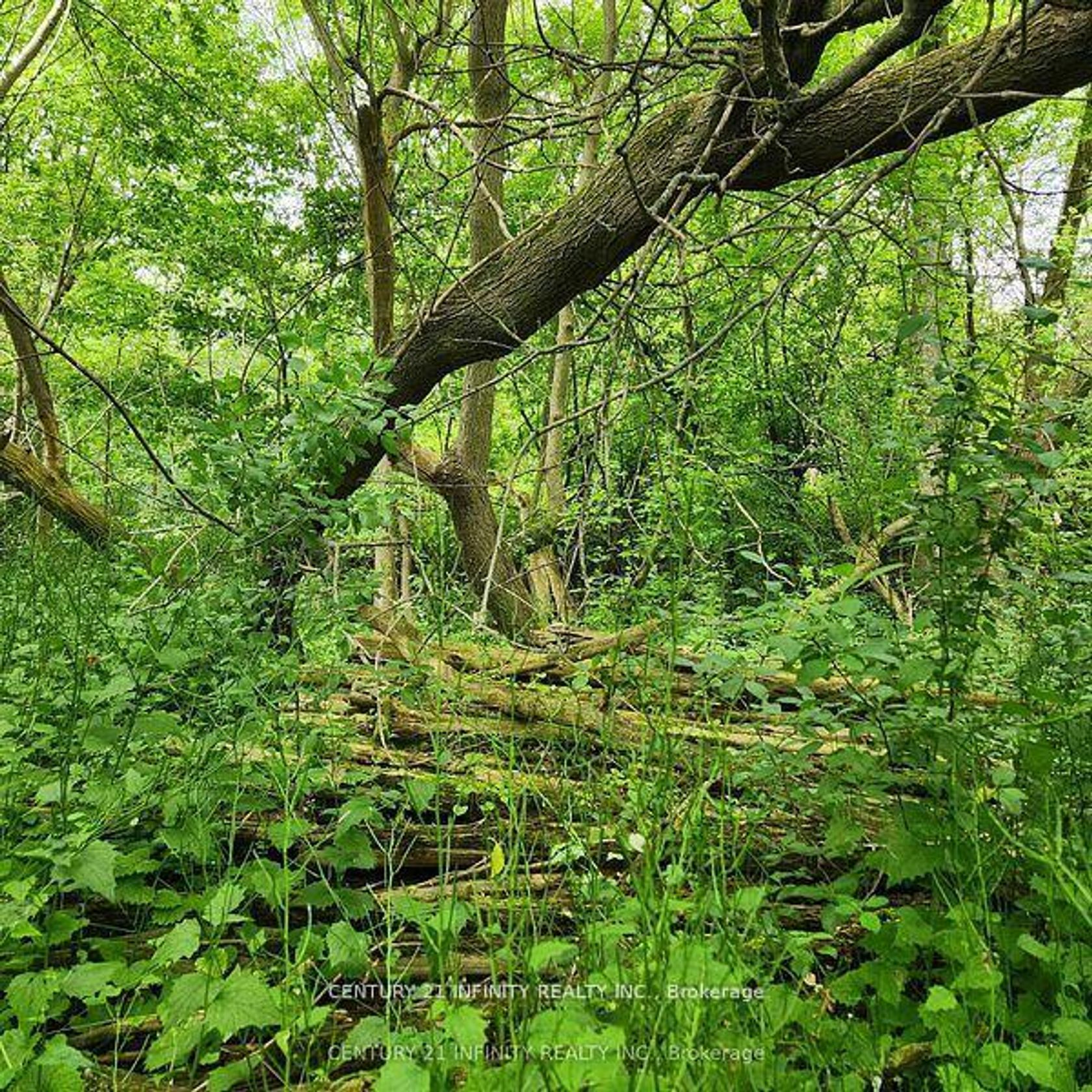 0-B Howard (Northwest Lot) Street, Port Hope 