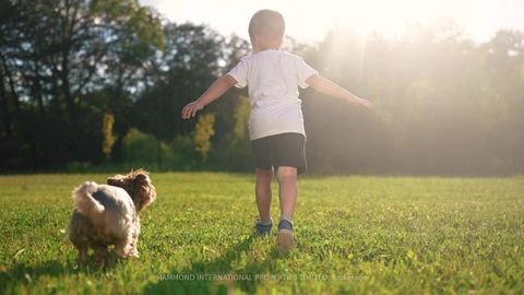 Photo 3 at 14 Penhale Drive, Humber Heights, Toronto