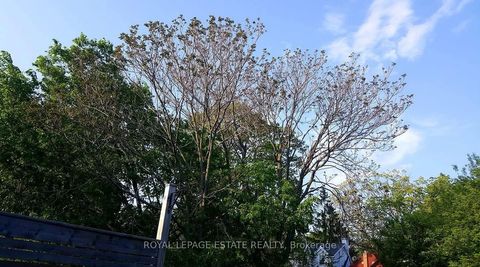 Photo 31 at 183 Waverley Road, The Beaches, Toronto