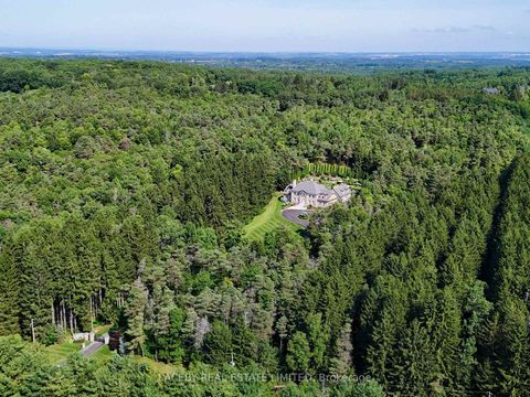 Photo 49 at 2508 16th Side Road, Rural King, King