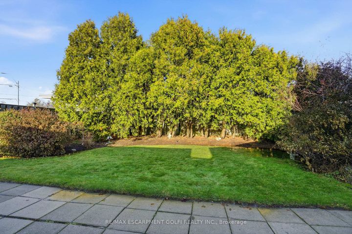 Photo 25 at 38 Coral Drive, Lawfield, Hamilton