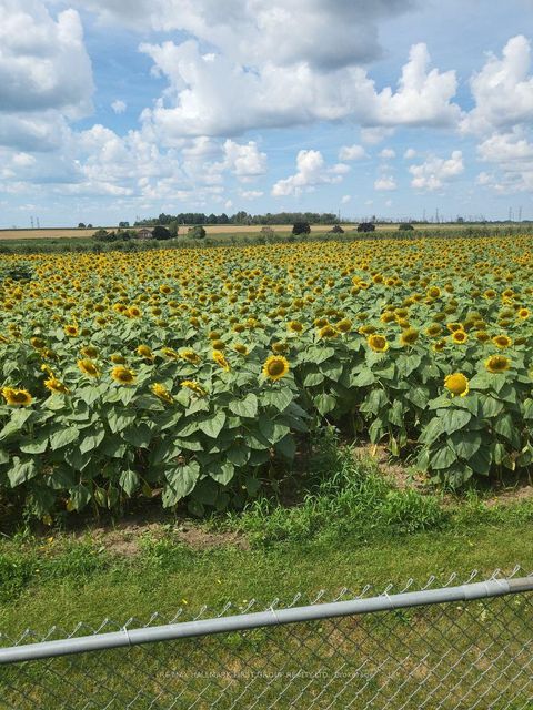 Photo 3 at 188 Padfield Drive, Bowmanville, Clarington