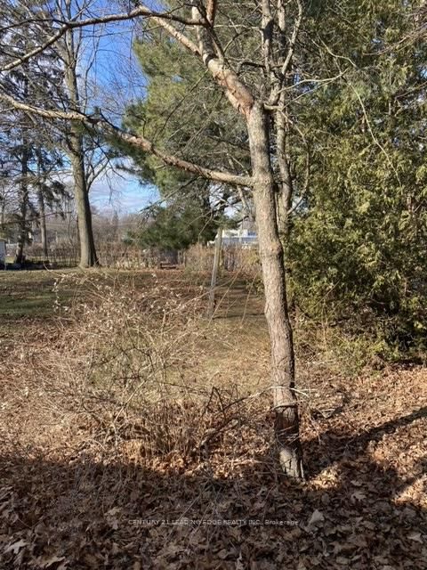 Photo 12 at 21 Faircroft Boulevard, Cliffcrest, Toronto