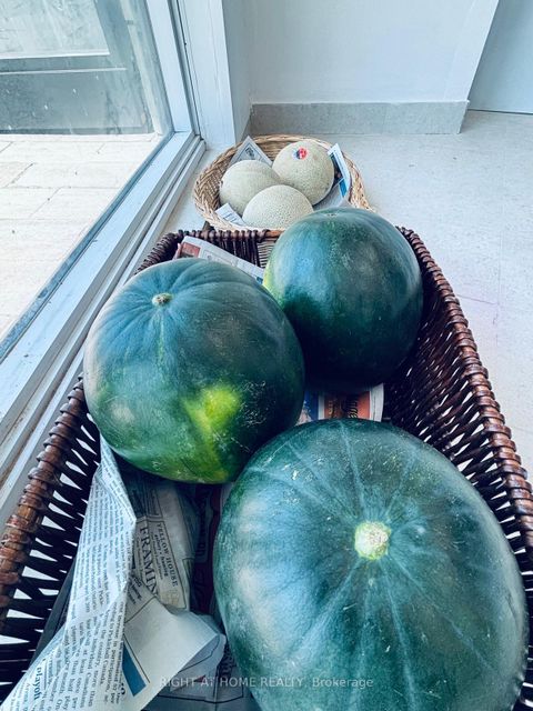 Photo 10 at 117 - 2201 Kingston Road, Cliffside, Toronto