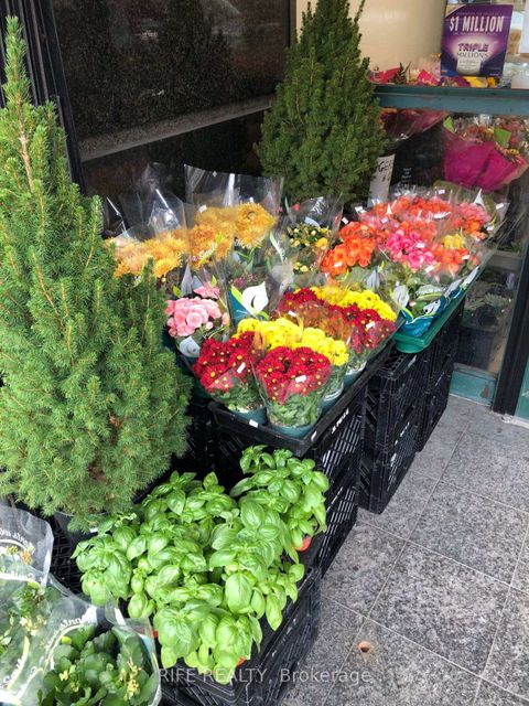 Photo 7 at 497 Church Street, Yonge Corridor, Toronto